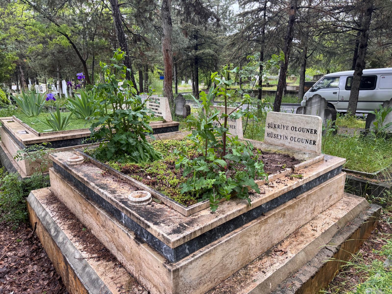 Bakım öncesi mezar